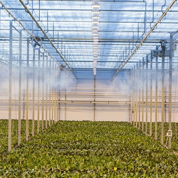 Fogging & Misting Systems