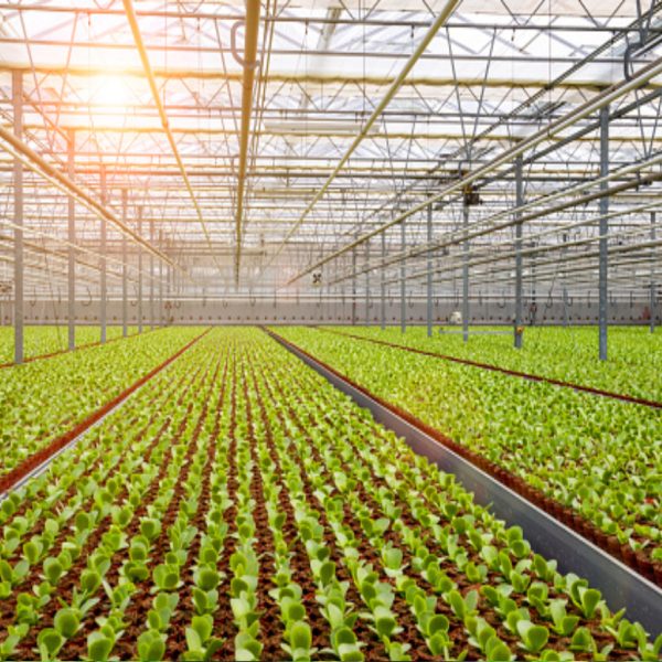 Greenhouse Systems